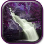 purple nature android application logo